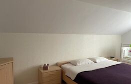 Ocazie!Duplex de lux, ultrafinisat, 210 mp utili , 1500 mp teren , zona Moara 