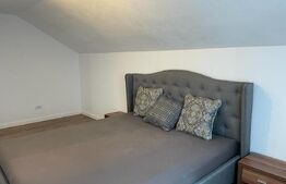 Ocazie!Duplex de lux, ultrafinisat, 210 mp utili , 1500 mp teren , zona Moara 