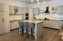 Ocazie!Duplex de lux, ultrafinisat, 210 mp utili , 1500 mp teren , zona Moara 