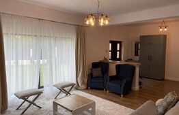 Ocazie!Duplex de lux, ultrafinisat, 210 mp utili , 1500 mp teren , zona Moara 