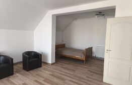 Casa 4 camere (spatiu comercial), 150mp, Radauti
