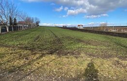 Teren Intravilan de vanzare, 3900 mp, zona Suceava-Cumparatura