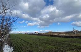 Teren Intravilan de vanzare, 3900 mp, zona Suceava-Cumparatura