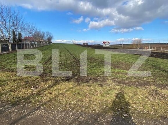 Teren de vânzare Sud - 164993TV | BLITZ Suceava | Poza3