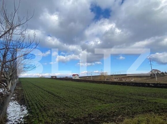 Teren de vânzare Sud - 164993TV | BLITZ Suceava | Poza1