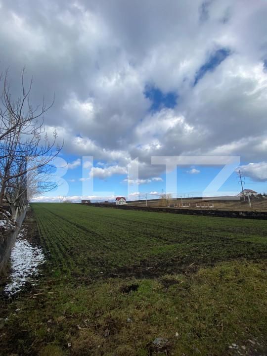 Teren de vânzare Sud - 164993TV | BLITZ Suceava | Poza1