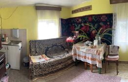 Casa batraneasca, cu 4 camere, 95 mp, cu anexe, 1 hectar teren, zona Beresti