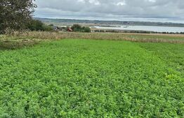 Casa batraneasca, cu 4 camere, 95 mp, cu anexe, 1 hectar teren, zona Beresti