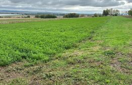 Casa batraneasca, cu 4 camere, 95 mp, cu anexe, 1 hectar teren, zona Beresti