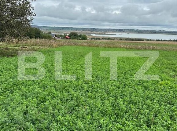 Casa de vânzare 4 camere Periferie - 165156CV | BLITZ Suceava | Poza5