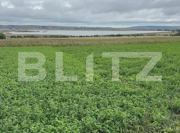 Casa de vânzare 4 camere Periferie - 165156CV | BLITZ Suceava | Poza6