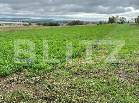 Casa de vânzare 4 camere Periferie - 165156CV | BLITZ Suceava | Poza7