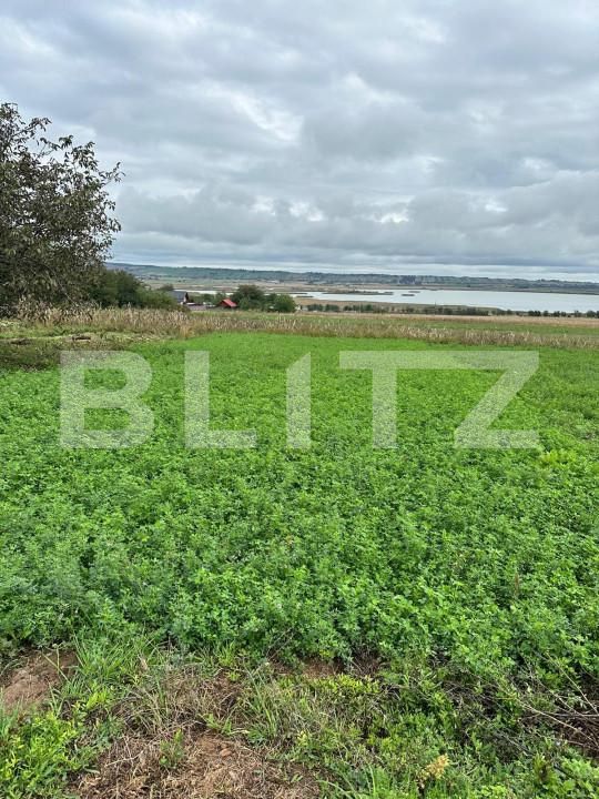 Casa de vânzare 4 camere Periferie - 165156CV | BLITZ Suceava | Poza5