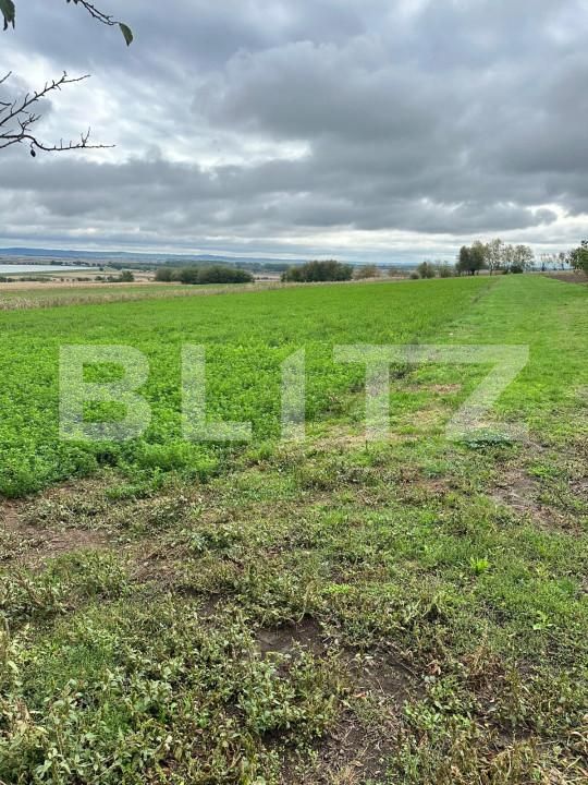 Casa de vânzare 4 camere Periferie - 165156CV | BLITZ Suceava | Poza7