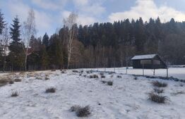 Teren intravilan, 1353mp, Sucevita, Radauti