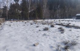 Teren intravilan, 1353mp, Sucevita, Radauti