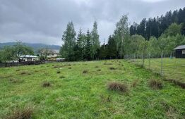 Teren intravilan, 1353mp, Sucevita, Radauti