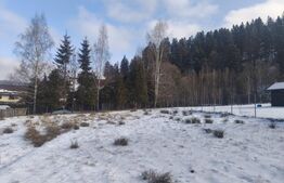 Teren intravilan, 1353mp, Sucevita, Radauti