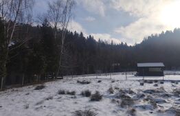 Teren intravilan, 1353mp, Sucevita, Radauti