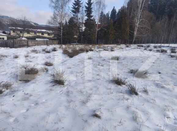 Teren de vânzare sucevita - 165303TV | BLITZ Suceava | Poza6