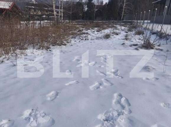 Teren de vânzare sucevita - 165303TV | BLITZ Suceava | Poza9