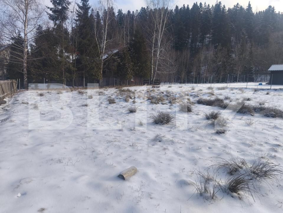 Teren de vânzare sucevita - 165303TV | BLITZ Suceava | Poza10