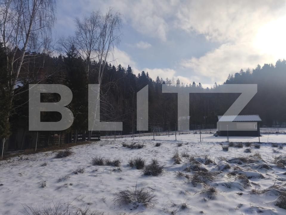 Teren de vânzare sucevita - 165303TV | BLITZ Suceava | Poza8