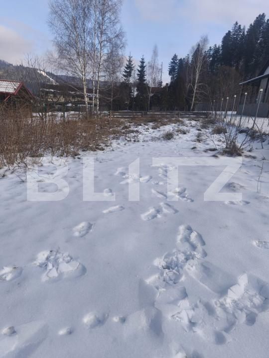 Teren de vânzare sucevita - 165303TV | BLITZ Suceava | Poza9