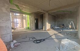 Casa de vanzare, cu 6 camere, 550 mp, zona-Drumul Mitocului