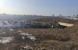 Teren extravilan 5134mp cu acces la centura, Radauti