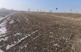 Teren extravilan 5134mp cu acces la centura, Radauti