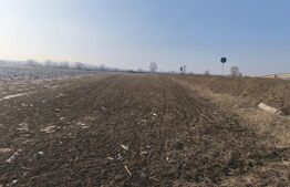 Teren extravilan 5134mp cu acces la centura, Radauti