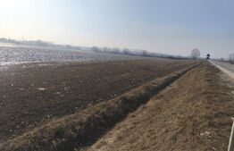 Teren extravilan 5134mp cu acces la centura, Radauti