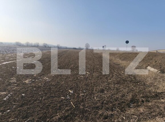 Teren de vânzare Radauti - 165545TV | BLITZ Suceava | Poza5
