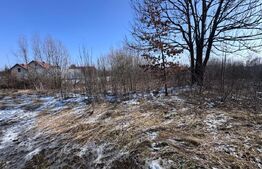 Teren intravilan, ideal constructii , 3000mp, Radauti