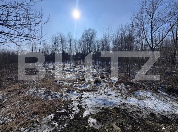 Teren de vânzare Radauti - 165560TV | BLITZ Suceava | Poza2