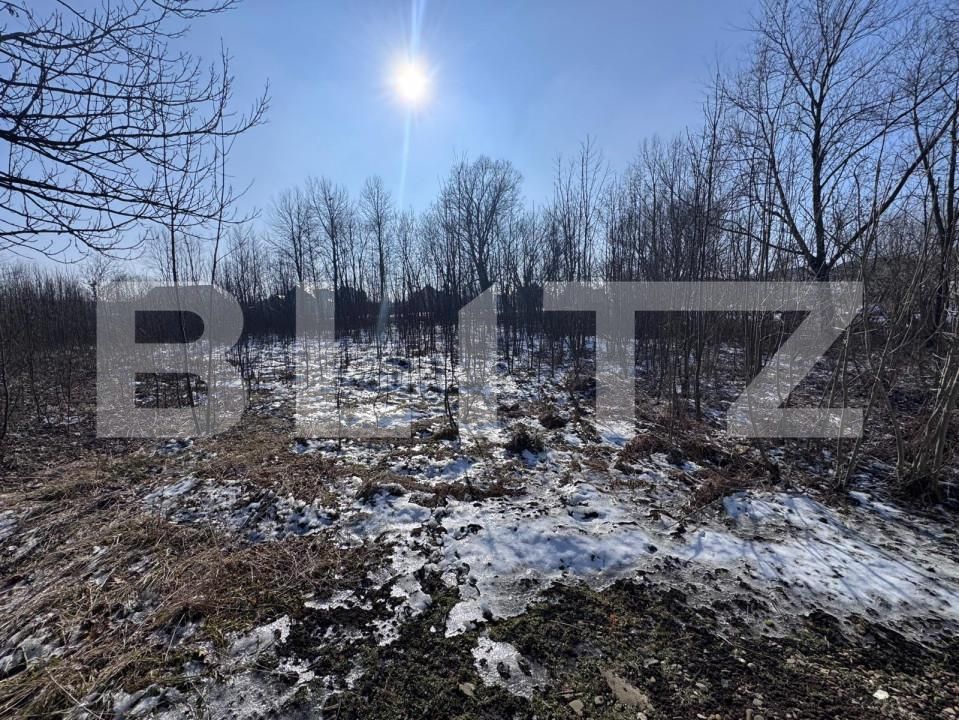 Teren de vânzare Radauti - 165560TV | BLITZ Suceava | Poza2