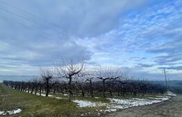 Teren extravilan - Livadă - 21.500mp - Fălticeni