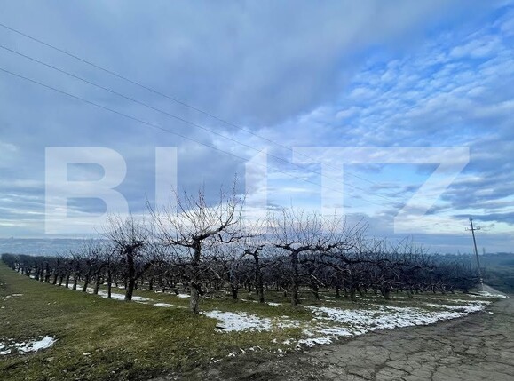 Teren de vânzare Falticeni - 165588TV | BLITZ Suceava | Poza2