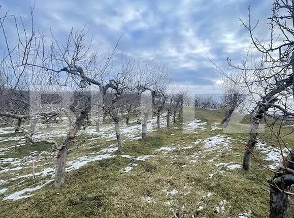 Teren de vânzare Falticeni - 165588TV | BLITZ Suceava | Poza3