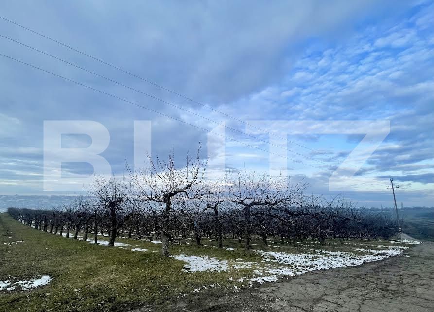 Teren de vânzare Falticeni - 165588TV | BLITZ Suceava | Poza2