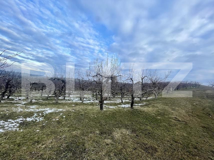 Teren de vânzare Falticeni - 165588TV | BLITZ Suceava | Poza1