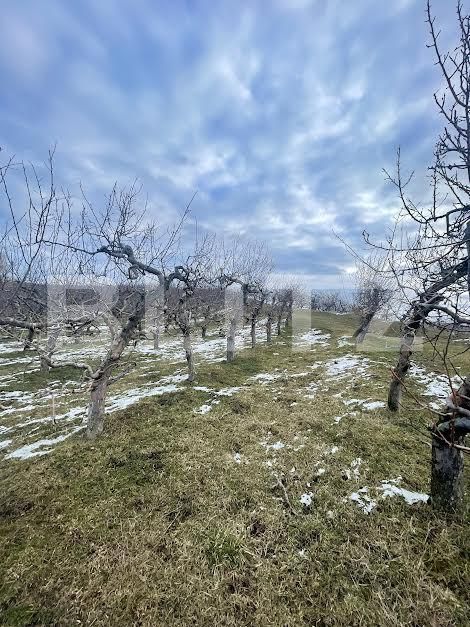 Teren de vânzare Falticeni - 165588TV | BLITZ Suceava | Poza3