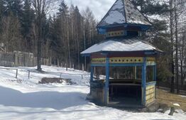 Oportunitate de neratat! Pensiune cu 25 de camere, 200 mp, zona-Vatra Dornei 