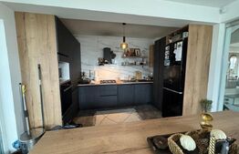 Casa individuala ,675 mp teren,  mobilata si utilata de lux , zona Moara 