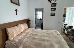 Casa individuala ,675 mp teren,  mobilata si utilata de lux , zona Moara 