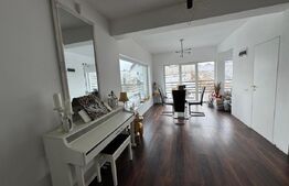 Casa individuala ,675 mp teren,  mobilata si utilata de lux , zona Moara 