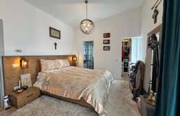 Casa individuala ,675 mp teren,  mobilata si utilata de lux , zona Moara 