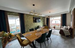 Casa individuala ,675 mp teren,  mobilata si utilata de lux , zona Moara 