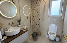 Casa individuala ,675 mp teren,  mobilata si utilata de lux , zona Moara 